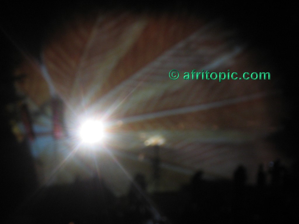 ../Images/14-160706c 222.jpg